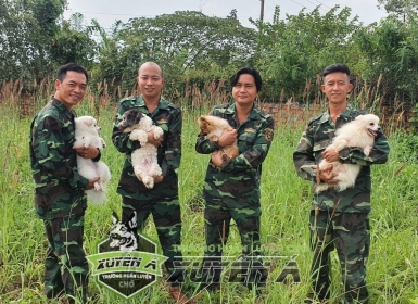 TRUNG TÂM XUYÊN Á- MUA BÁN CHÓ CẢNH GIÁ CHỈ TỪ 1.000.000 đ